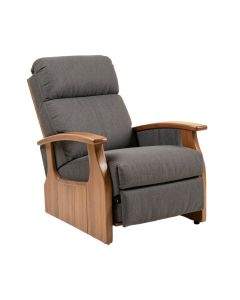 33 '' Wide Power Lift Assist Standard Recliner (synthetic illustration; no displayed measurements)