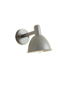 Summit Branch Wall Sconce Mounted On A Plain Wall - Gray (synthetic illustration; no displayed measurements)