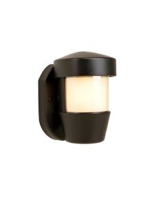 Oneal Outdoor Barn Light