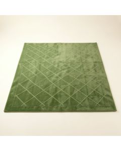 Briar Crossing Rectangular Area Rug - Green (synthetic illustration; no displayed measurements)