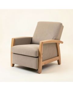 Hamden 29.5 '' Wide Power Wall Hugger Standard Recliner (synthetic illustration; no displayed measurements)