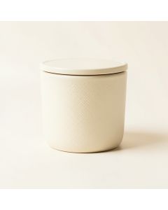 Birch Crossing Storage Canister With Lid - Cream (synthetic illustration; no displayed measurements)