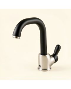 Oletto Pull Down Single Handle Kitchen Faucet (synthetic illustration; no displayed measurements)