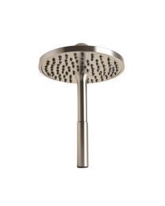 Velocity Fixed Shower Head With Immersion (synthetic illustration; no displayed measurements)