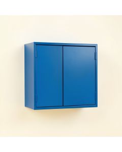 Rowan Brook Wall-Mounted Entry Cabinet - Blue (synthetic illustration; no displayed measurements)