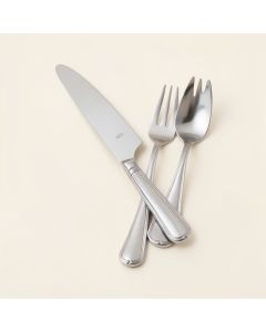 Cake Knife And Server Set (synthetic illustration; no displayed measurements)