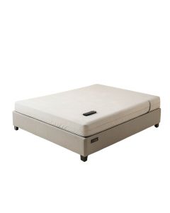 25 '' Zero Gravity Adjustable Bed With Wireless Remote