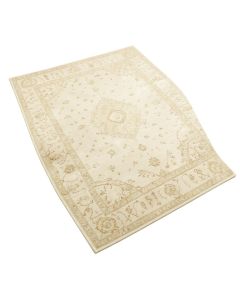 Cantey Oriental Ivory Area Rug