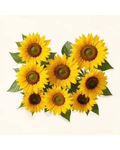 Sunflowers Border Wall Decal (synthetic illustration; no displayed measurements)