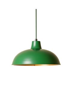 Alder Brook Pendant Light Suspended From One Plain Cable - Green (synthetic illustration; no displayed measurements)
