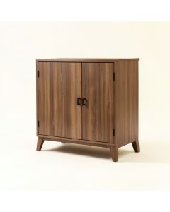 Fung 2 Door Accent Cabinet (synthetic illustration; no displayed measurements)