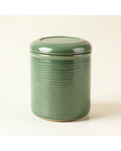 Harbor Canyon Storage Canister With Lid - Green (synthetic illustration; no displayed measurements)