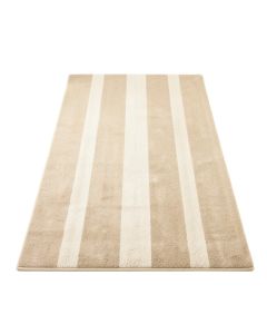 Dune Branch Rectangular Area Rug - Beige (synthetic illustration; no displayed measurements)
