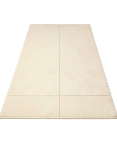 Connie Champagne/Cream Area Rug (synthetic illustration; no displayed measurements)