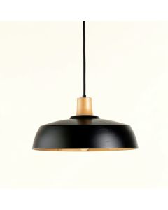 Bay Crossing Pendant Light Suspended From One Plain Cable - Black (synthetic illustration; no displayed measurements)