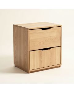 Allicen 2 -Drawer Storage Cabinet (synthetic illustration; no displayed measurements)