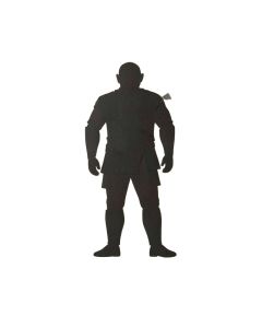 Star Wars : Rogue One - Jyn Paper Print (synthetic illustration; no displayed measurements)