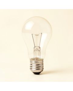 40 Watt , C11 Incandescent Dimmable Light Bulb , Daylight E12/Candelabra Base (synthetic illustration; no displayed measurements)