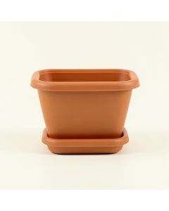 Moss Branch Empty Raised Planter - Terracotta (synthetic illustration; no displayed measurements)