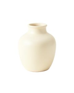 Field Branch Empty Decorative Vase - Cream
