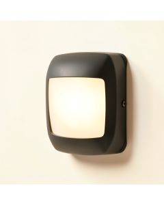 Alo 2 - Bulb Outdoor Bulkhead Light (synthetic illustration; no displayed measurements)