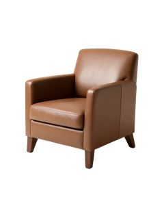 Agostini Upholstered Arm Chair (synthetic illustration; no displayed measurements)