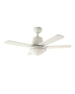 Ceiling Fan Canoies (synthetic illustration; no displayed measurements)