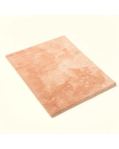 Ashton Shag Area Rug (synthetic illustration; no displayed measurements)