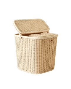 Dawn Bluff Laundry Hamper - Ivory