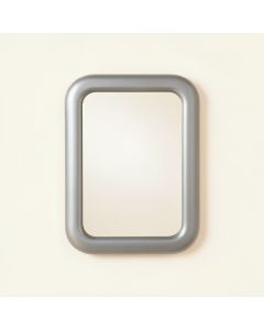 Hazel Branch Framed Wall Mirror - Gray (synthetic illustration; no displayed measurements)