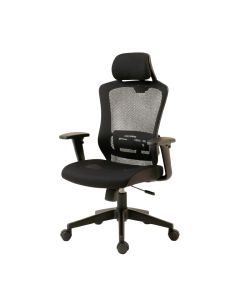 Layman High Back Ergonomic Mesh Executive Chair