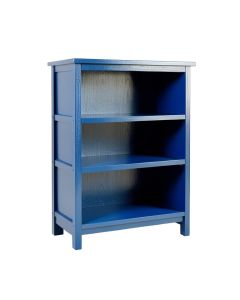 Brook Dale Desktop Shelving Unit - Blue