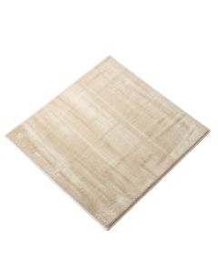 Ines Ivory/Beige Rug (synthetic illustration; no displayed measurements)
