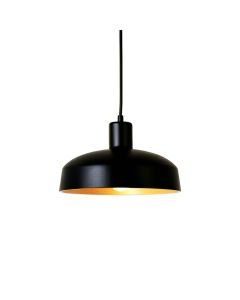 Maple Bluff Pendant Light Suspended From One Plain Cable - Black (synthetic illustration; no displayed measurements)