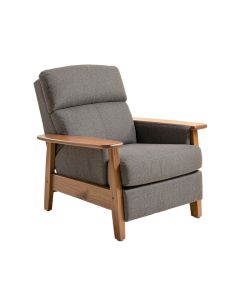 Brunkil 38 '' Wide Power Standard Recliner