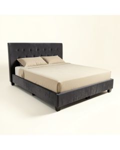 Burrus Upholstered Low Profile Standard Bed (synthetic illustration; no displayed measurements)