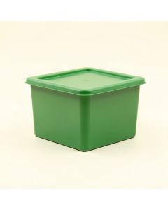 Harbor Canyon Closed Outdoor Storage Box - Green (synthetic illustration; no displayed measurements)