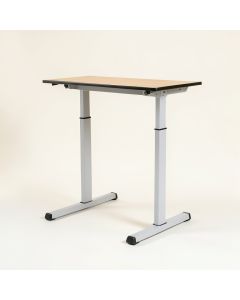Electric Height Adjustable Standing Desk (synthetic illustration; no displayed measurements)