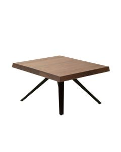 Rainey Coffee Table (synthetic illustration; no displayed measurements)
