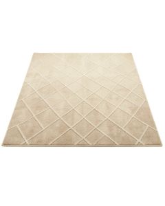 Spruce Bluff Rectangular Area Rug - Beige (synthetic illustration; no displayed measurements)
