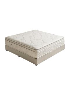 Lucid Comfort Collection 10 '' Plush Tight Top Mattress And Adjustable Bed Set