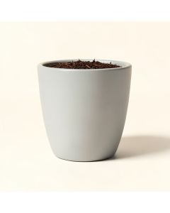 Friedman Pot Planter (synthetic illustration; no displayed measurements)