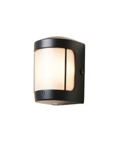 Mccollum 2-Light Led Outdoor Armed Sconce