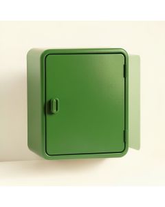 Meadow Dale Wall-Mounted Laundry Cabinet - Green (synthetic illustration; no displayed measurements)