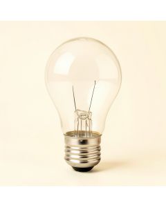 60 Watt , A19 Incandescent Dimmable Light Bulb , 2200K E26/Medium ( Standard ) Base (synthetic illustration; no displayed measurements)