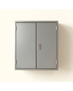 Reed Dell Wall-Mounted Laundry Cabinet - Gray (synthetic illustration; no displayed measurements)