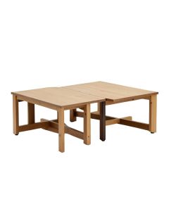 Drewery 2 Piece Coffee Table Set (synthetic illustration; no displayed measurements)