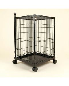 Zora 30.4 '' Steel Flat Top Floor Bird Cage With Wheels (synthetic illustration; no displayed measurements)