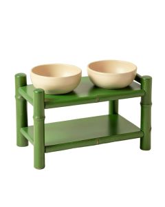 Hazel Canyon Pet Feeding Stand With Two Plain Empty Bowls - Green (synthetic illustration; no displayed measurements)