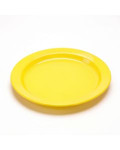 Alamar Maple 9.5 '' Melamine Salad Plate (synthetic illustration; no displayed measurements)